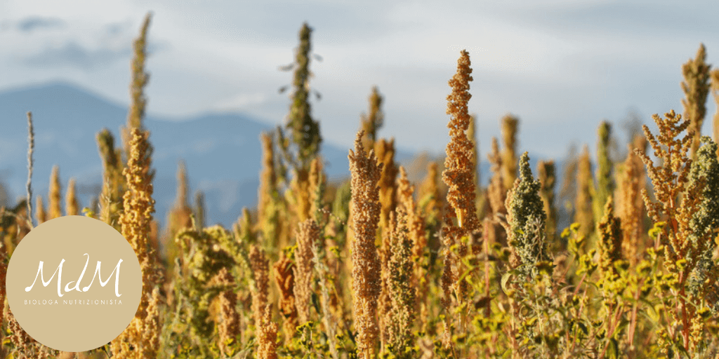 quinoa
